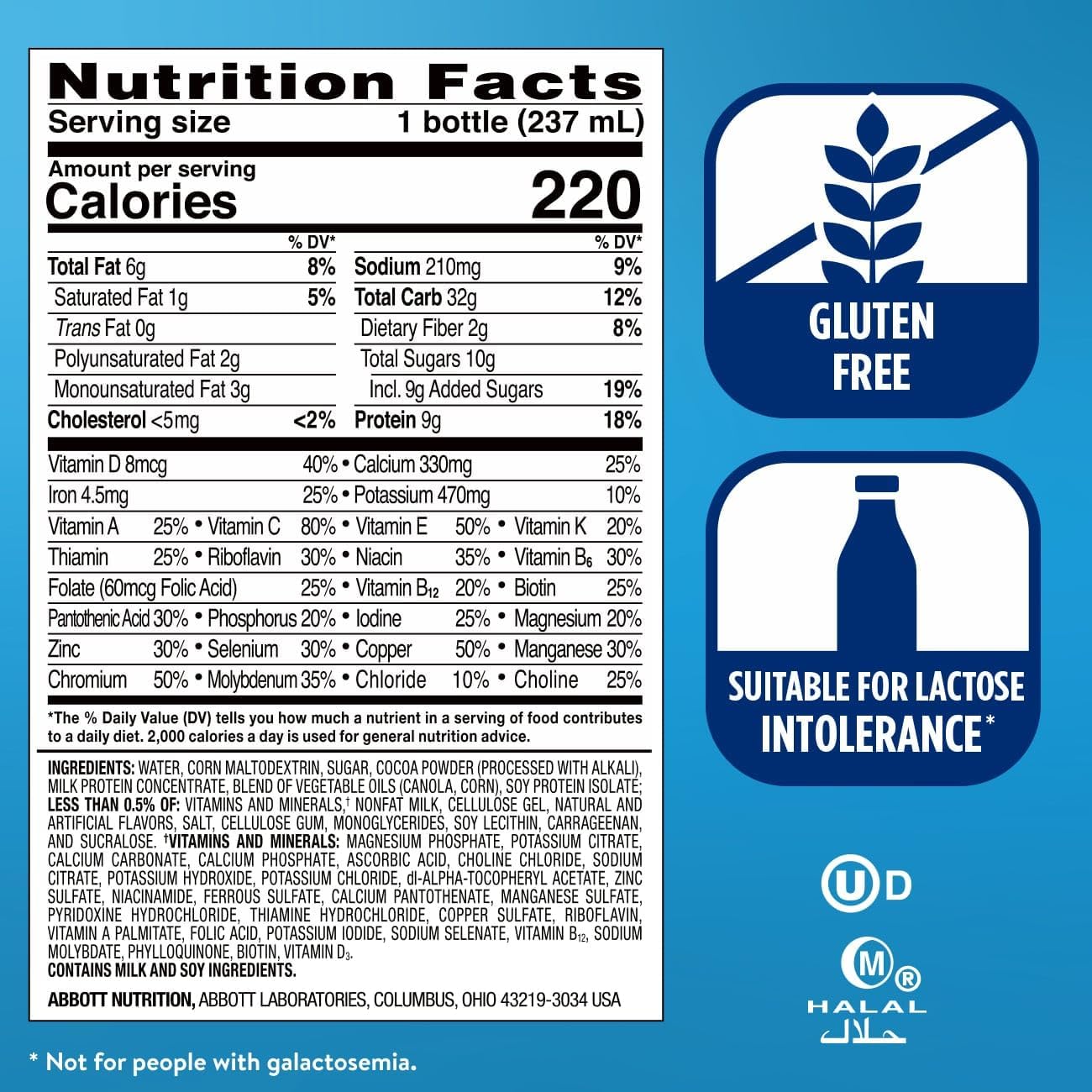 Ensure Original Dark Chocolate Nutrition Shake | Meal Replacement Shake | 6 Count (Pack of 1)